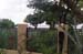 015_16